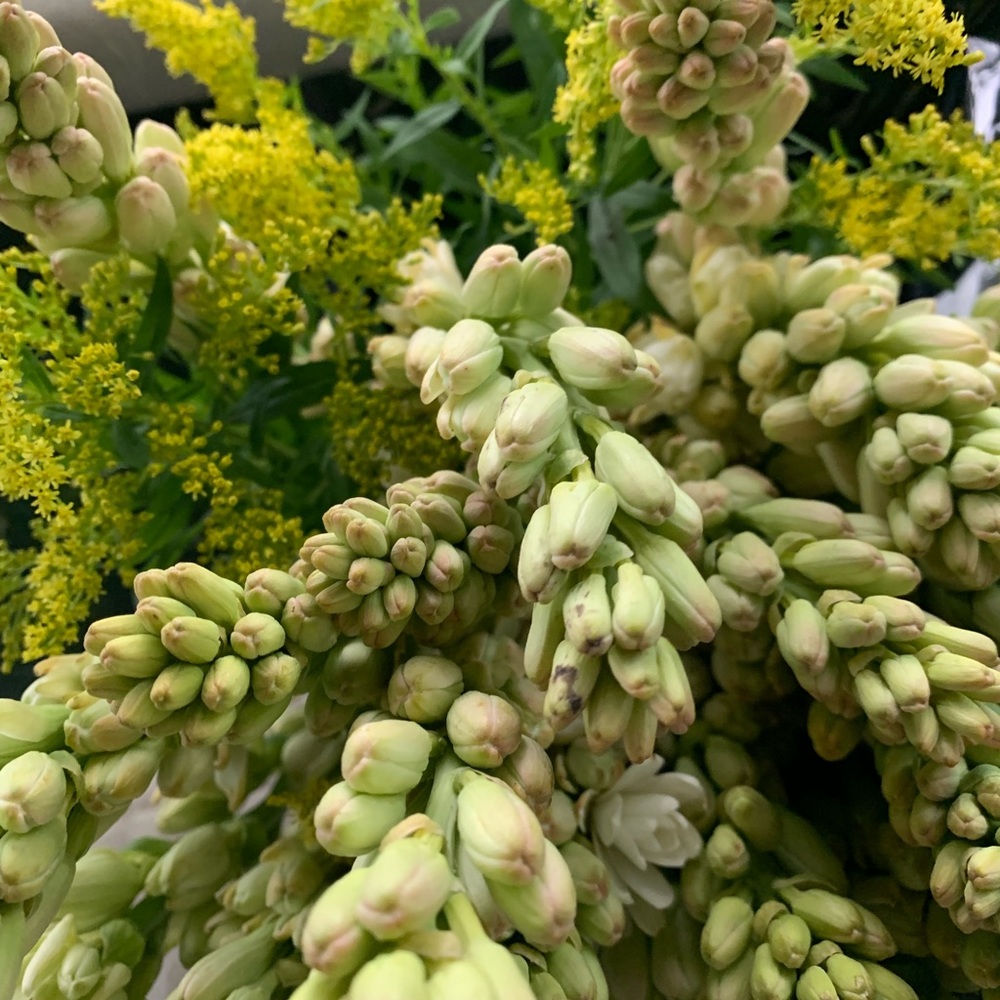 Meet your Posher, Chen